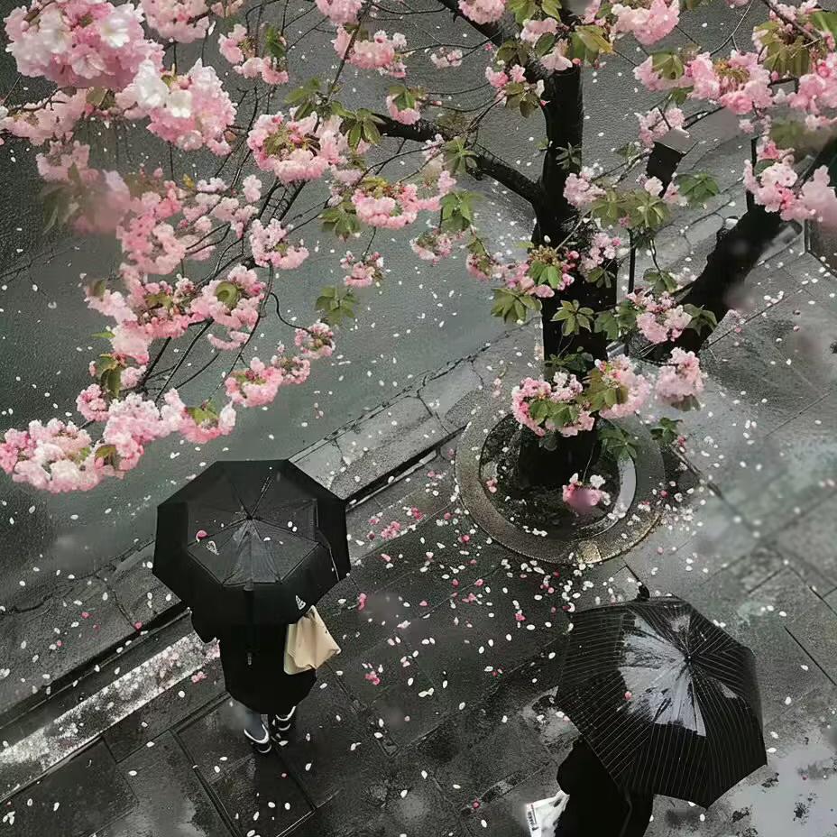 Emptying moment（放空时刻）