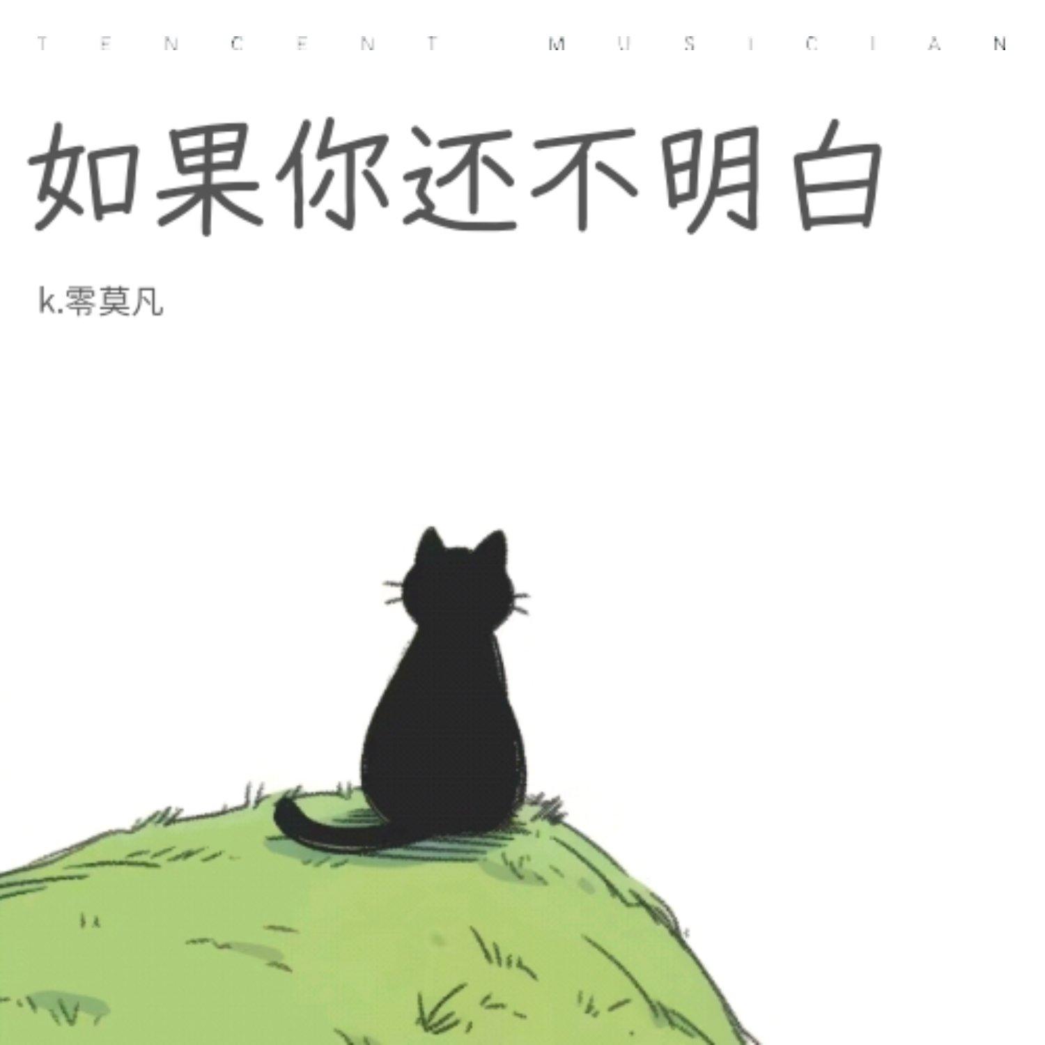如果你还不明白封面