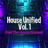 House Unified, Vol.1 - Feel the House Groove!