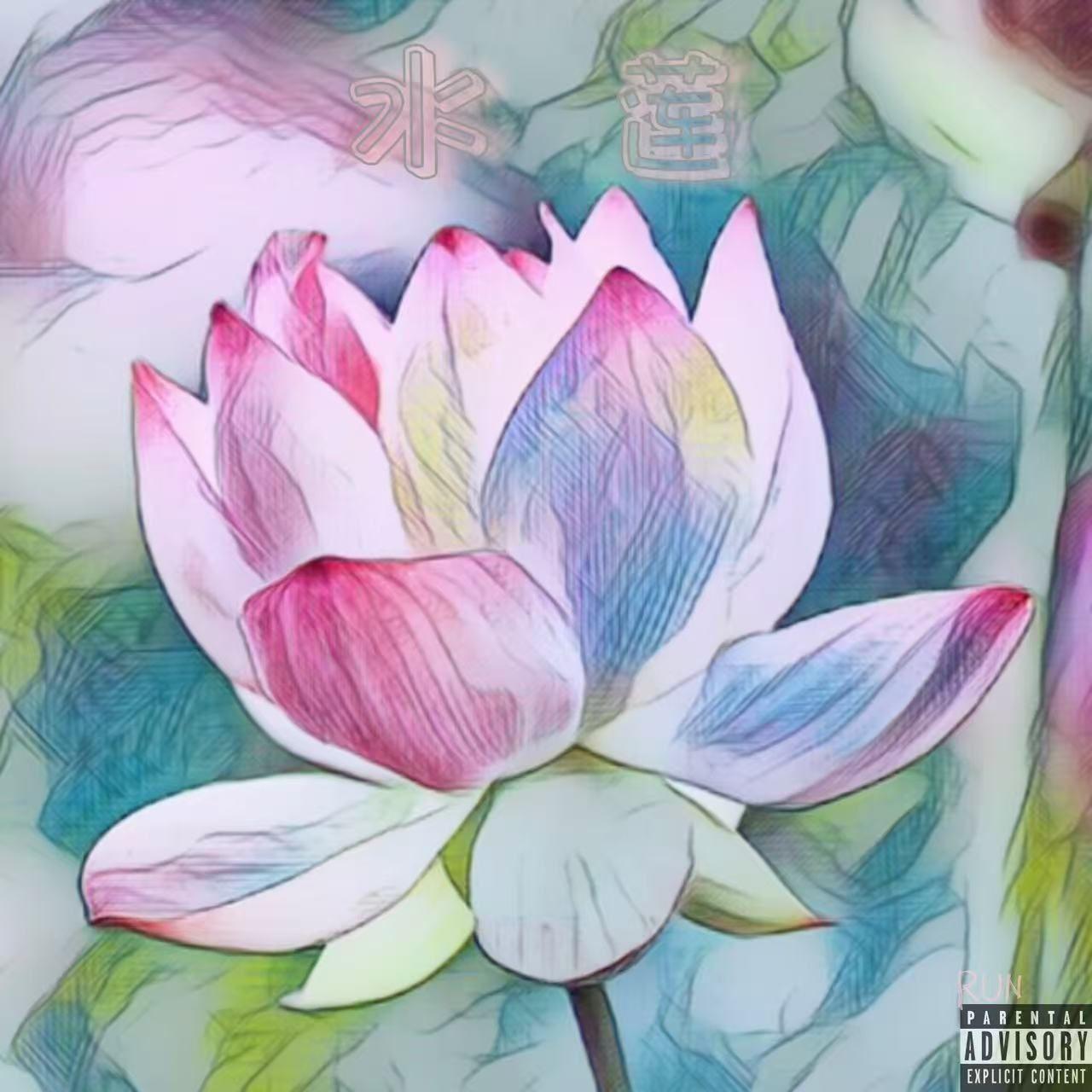水莲封面