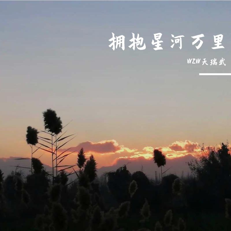不再联系封面