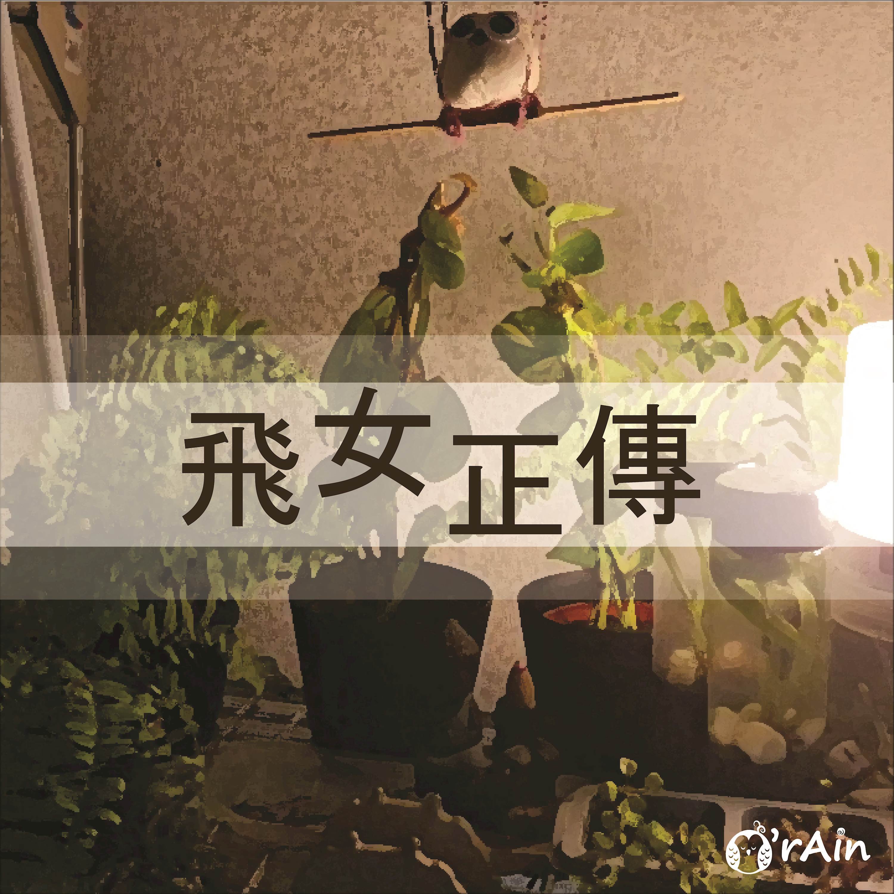 飛女正傳 (鋼琴版)封面