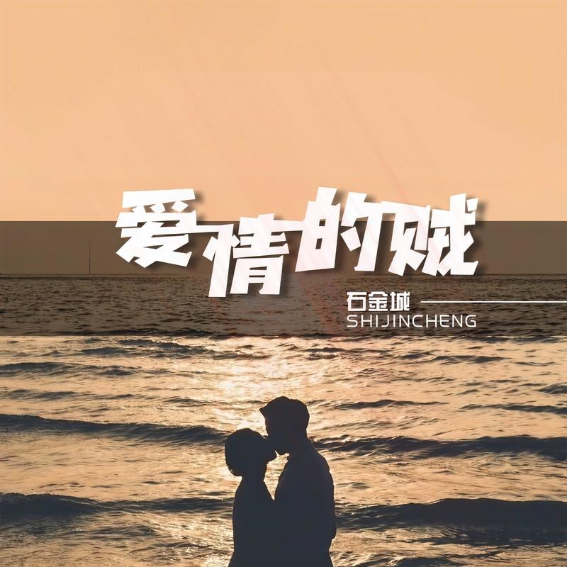 爱情的贼(DJ版)封面