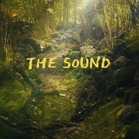 The Sound