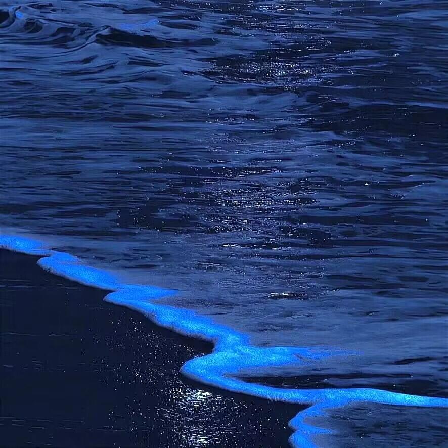 阿拉斯加的海湾封面