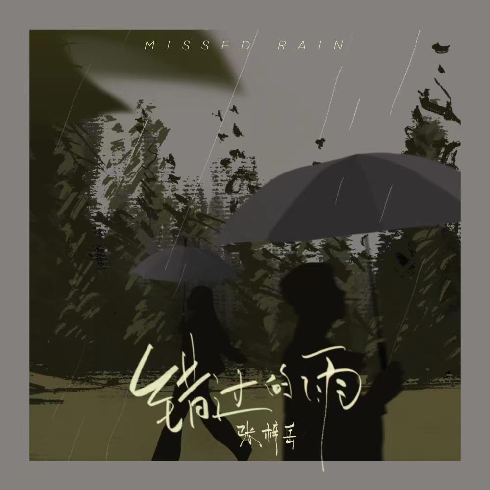 错过的雨 (伴奏)封面