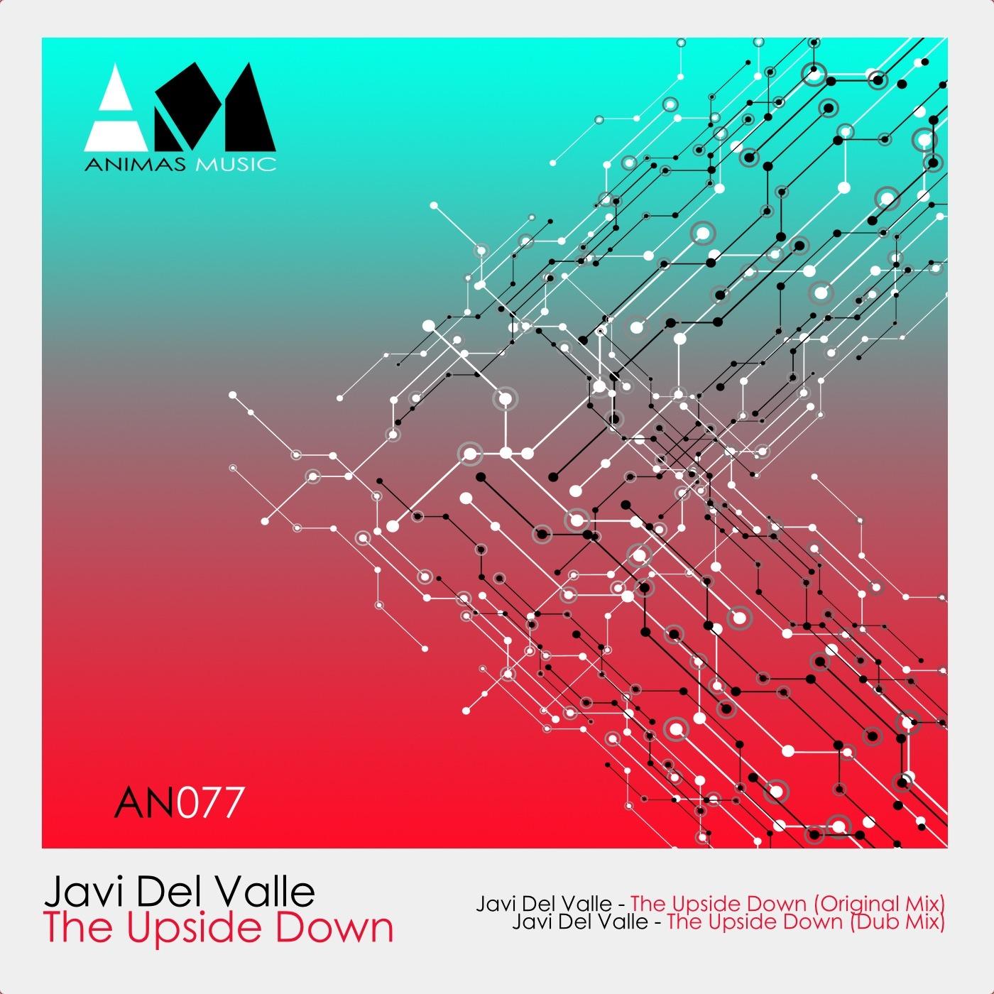 The Upside Down (Dub Mix)