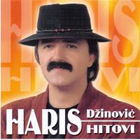 Haris Dzinovic Hitovi