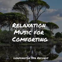 Relaxation Music for Comforting