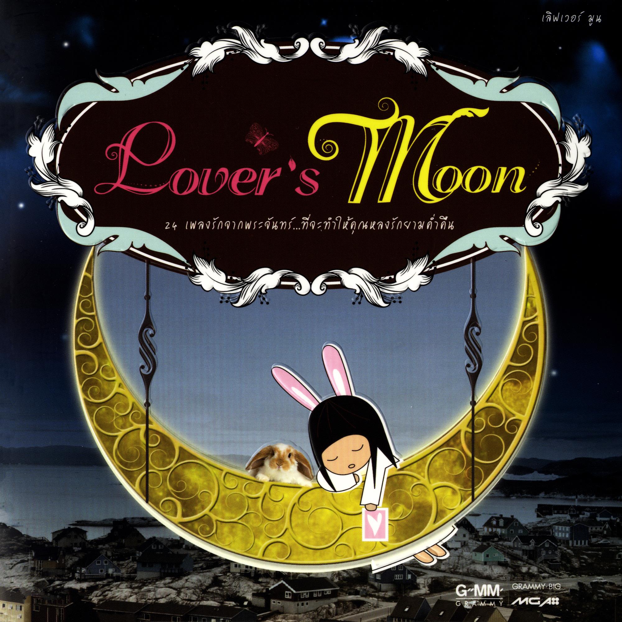 คืนดีคืนเดียว