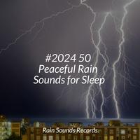 #2024 50 Peaceful Rain Sounds for Sleep