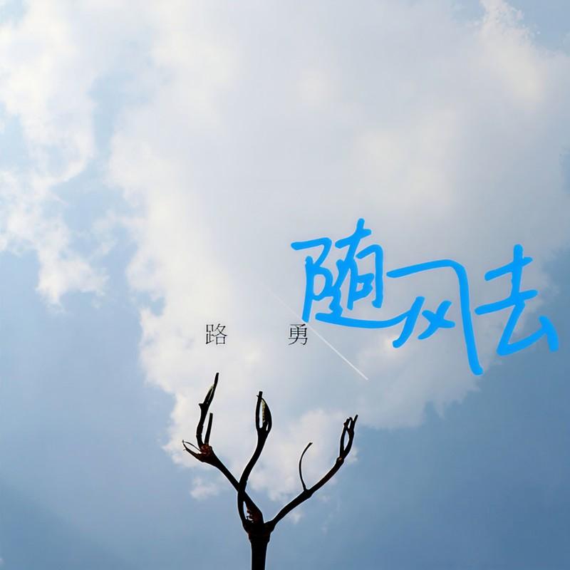 随风去封面