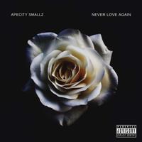 Never Love Again