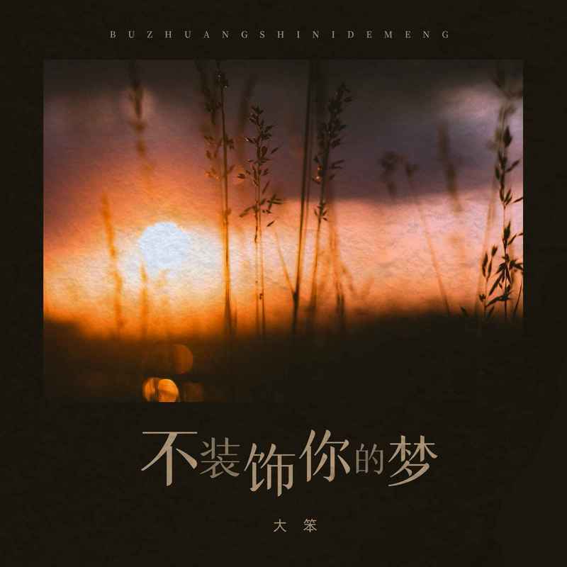 不装饰你的梦封面
