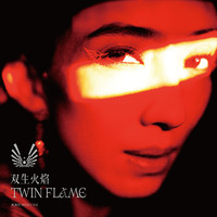 双生火焰 TWIN FLAME