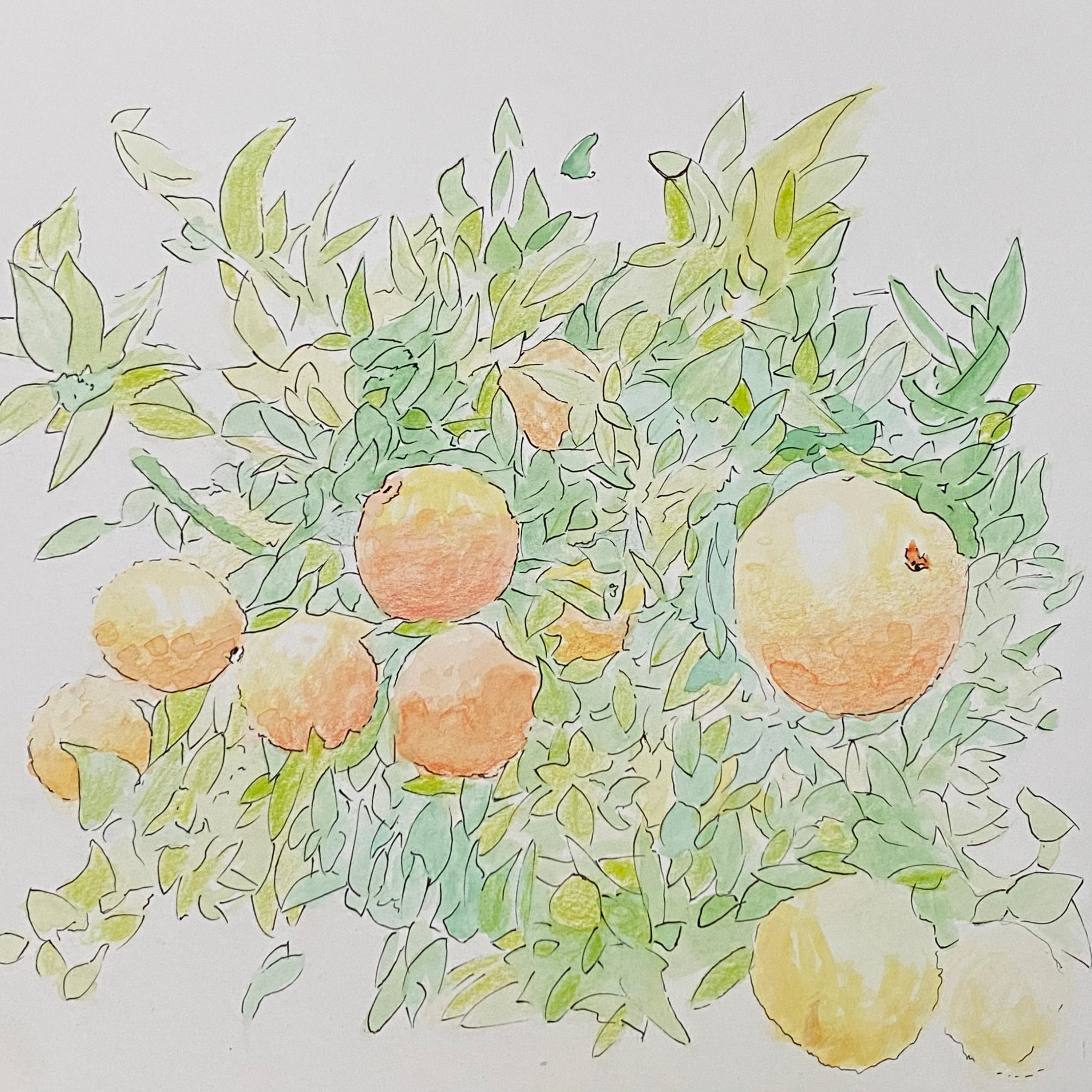 face first in the dirt