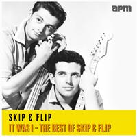 It Was I - The Best Of Skip & Flip