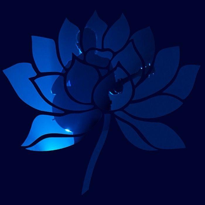 生活在地下live封面