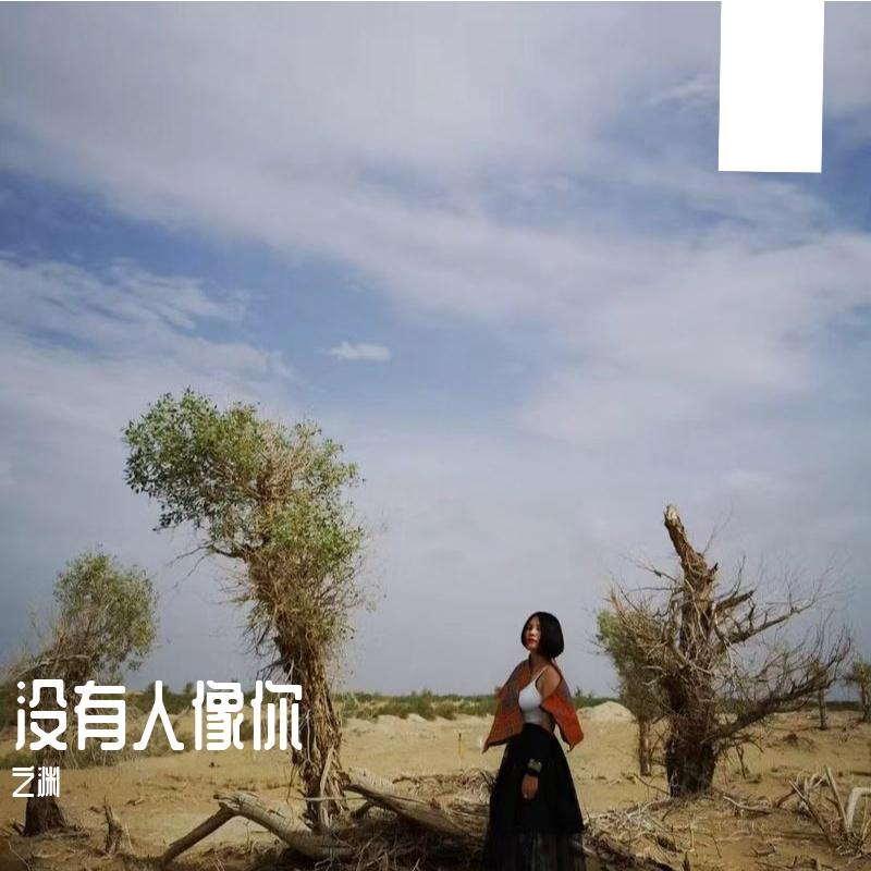 没有人像你 - 之渊封面