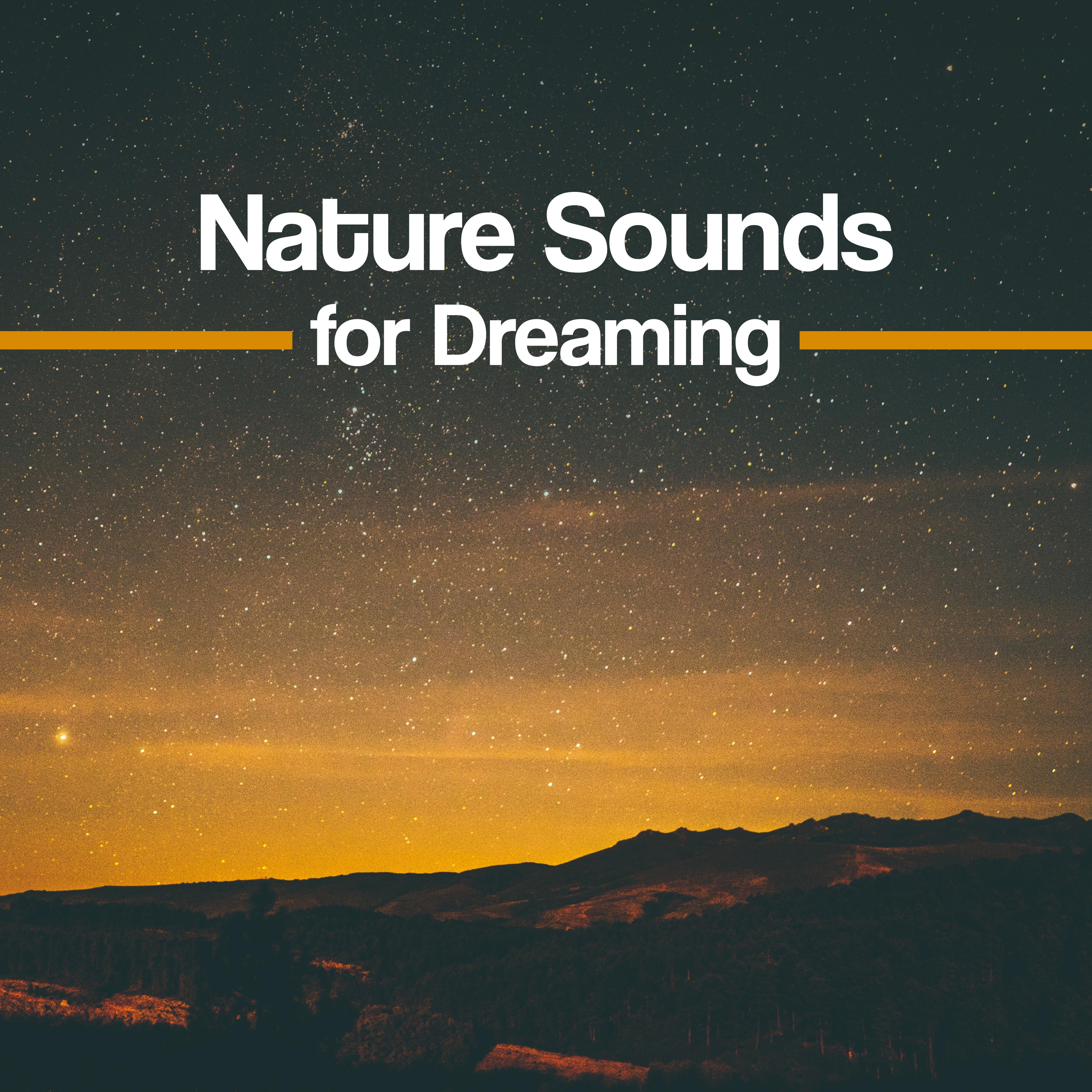 White Noise Relaxation