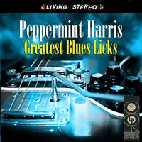 Greatest Blues Licks