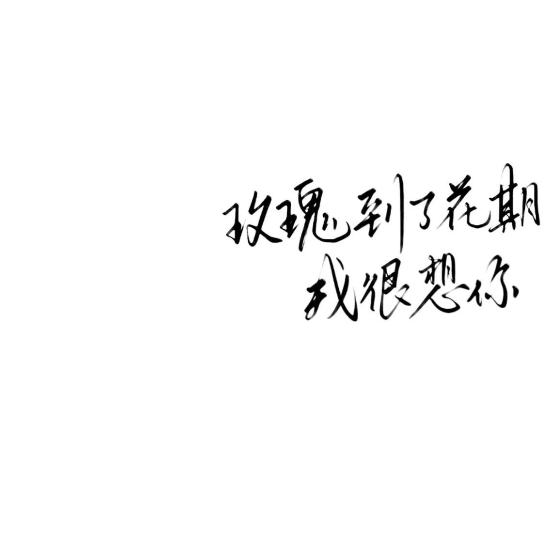老谢～看我开挖掘机帅不帅啊～～ - 贺朝封面