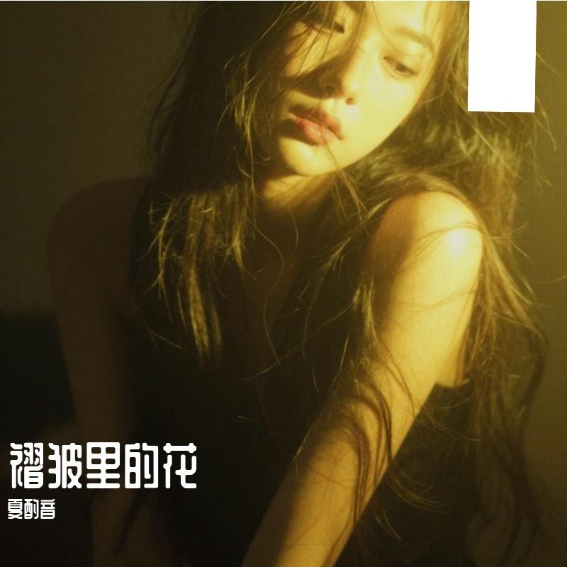 自己的火花封面