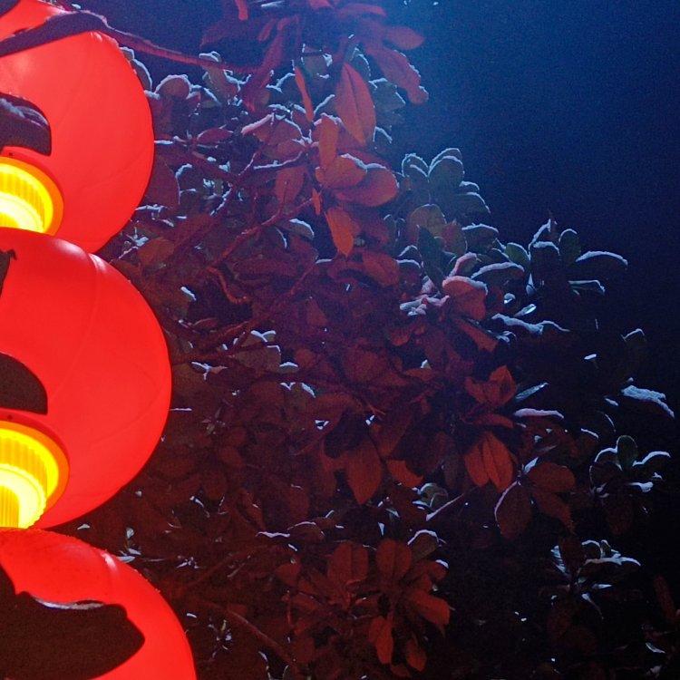 许佳豪（烟）yyds