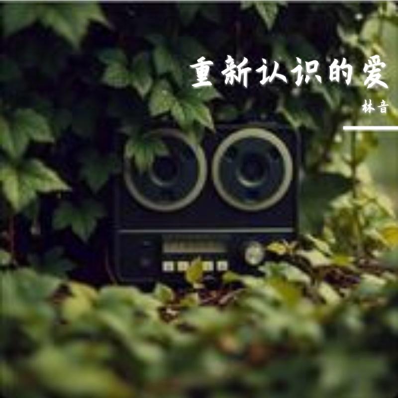 恋爱告急封面