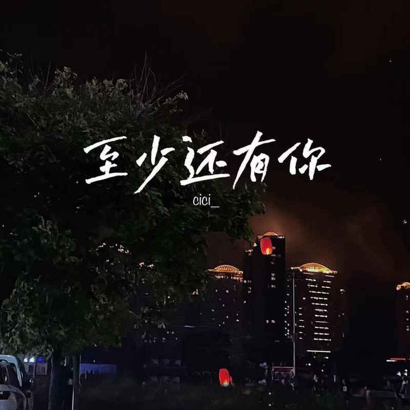 至少还有你 (DJ版)封面