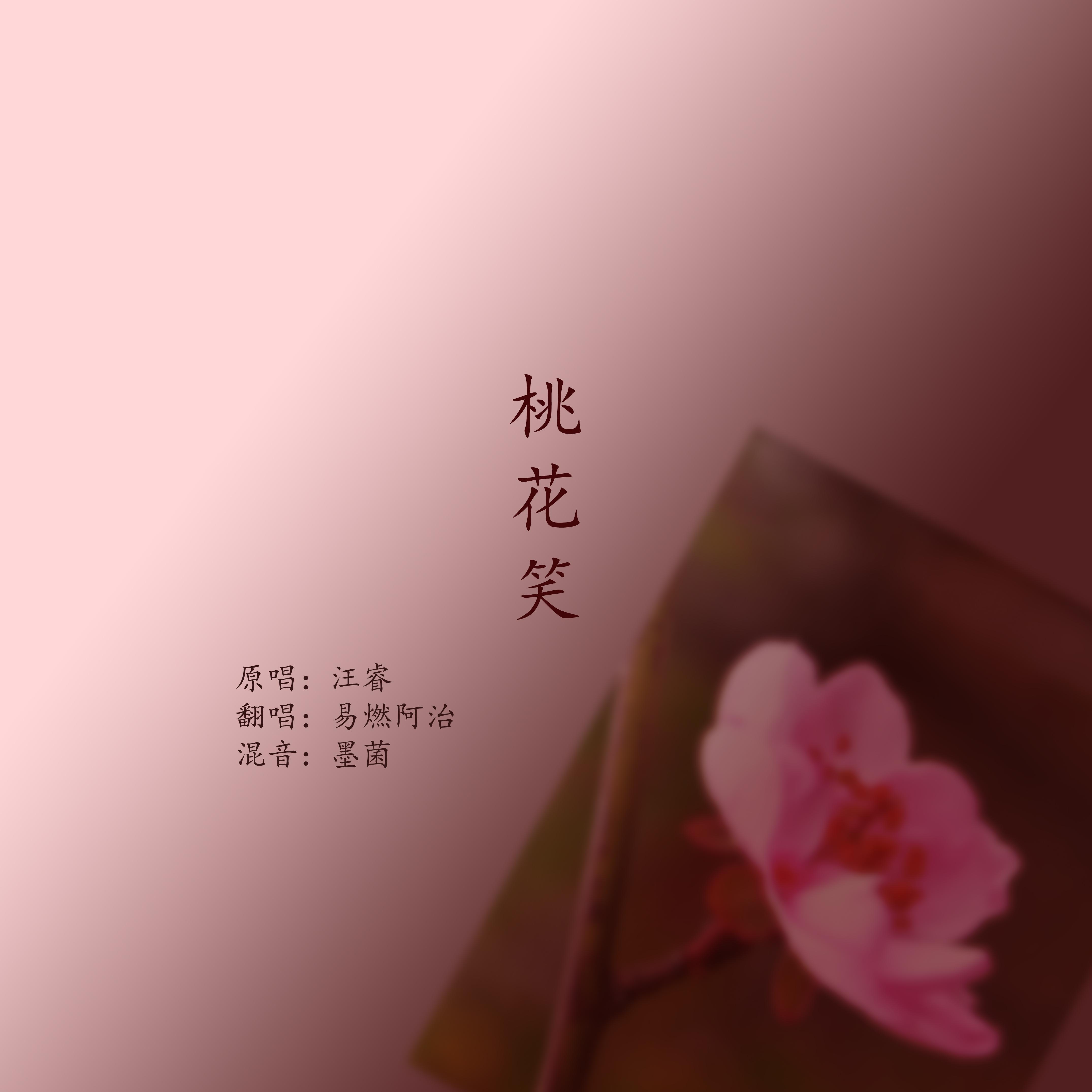 桃花笑(cover:汪睿)