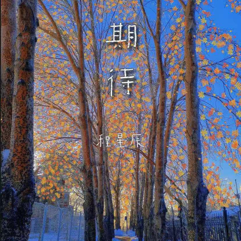 期待_程星辰_期待 | 在线播放_期待歌词_期待下载 | 网易云音乐