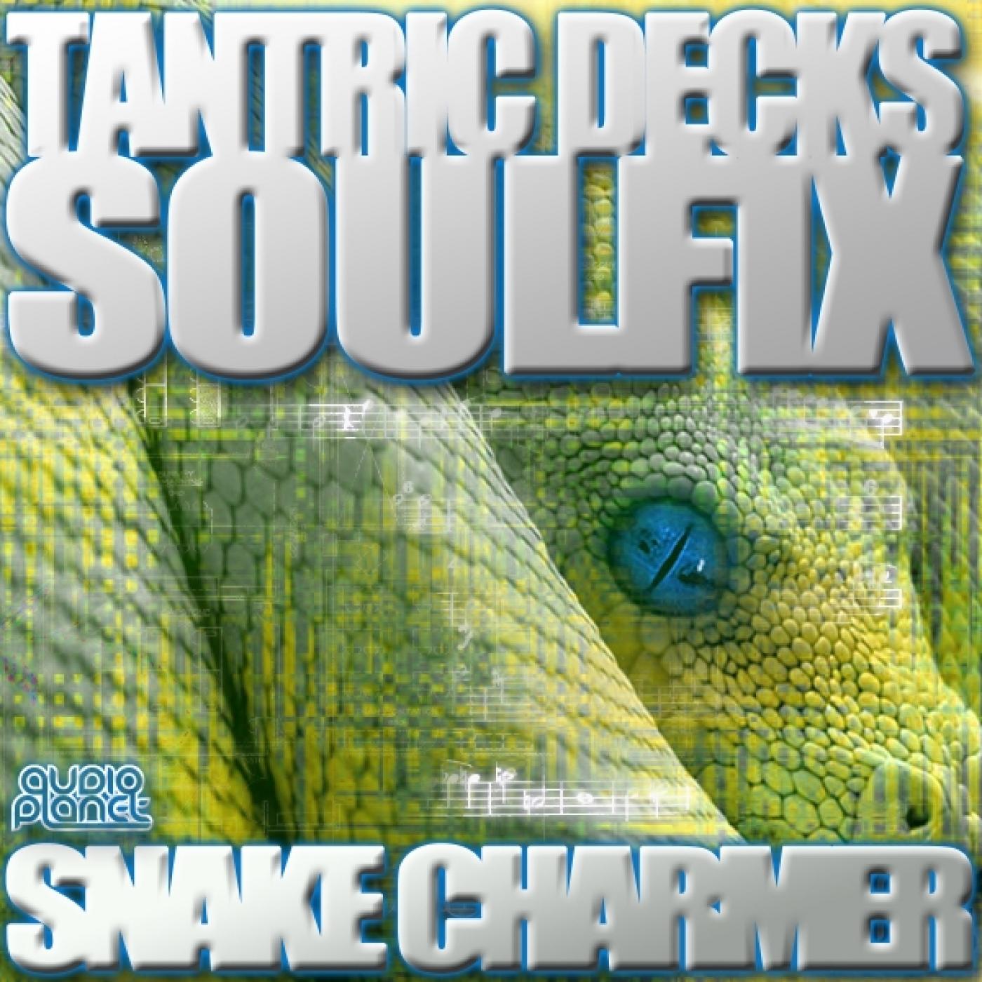 Snake Charmer (Original Mix)