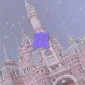 蓝莲花 (吉他版)封面