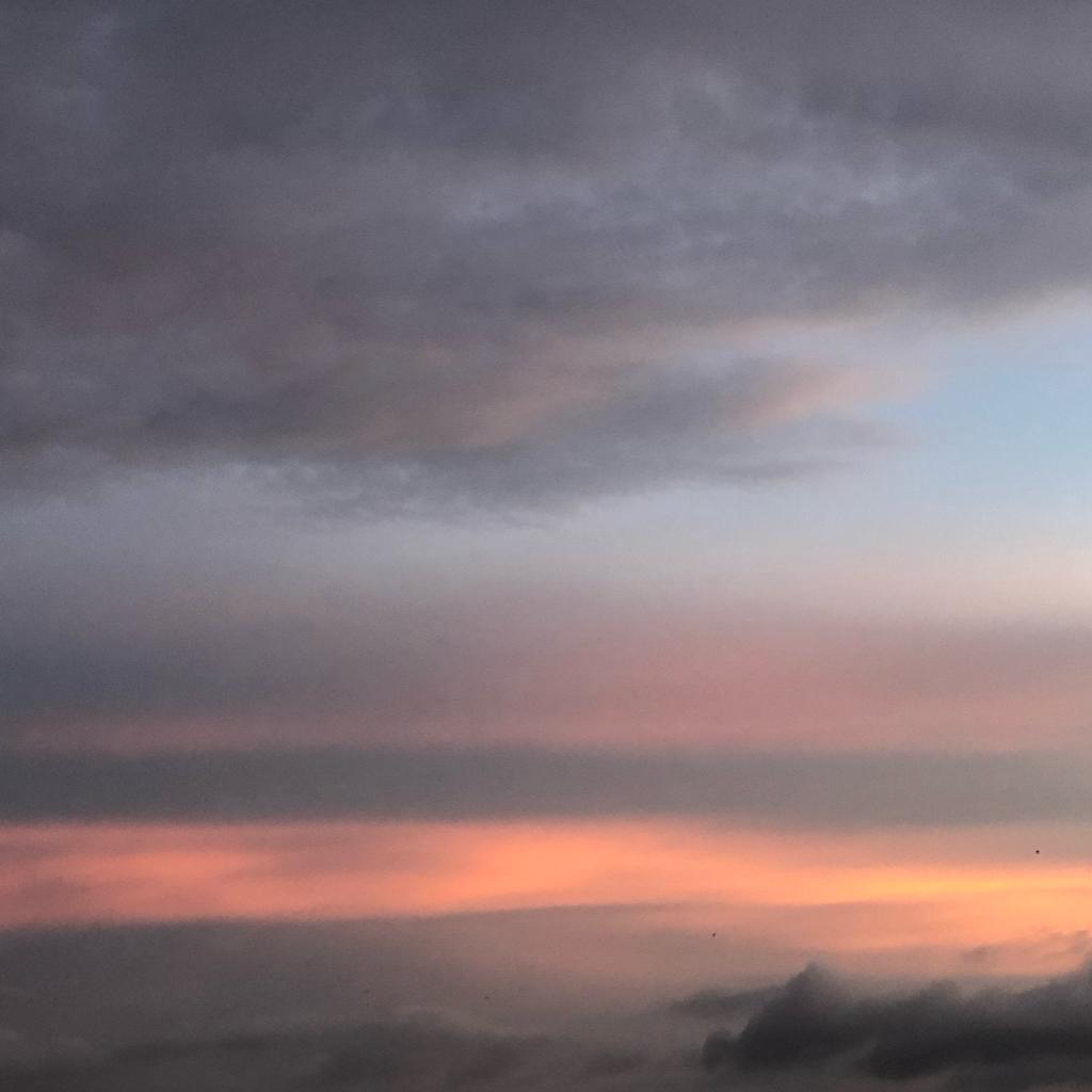 一条会讲话的咸鱼