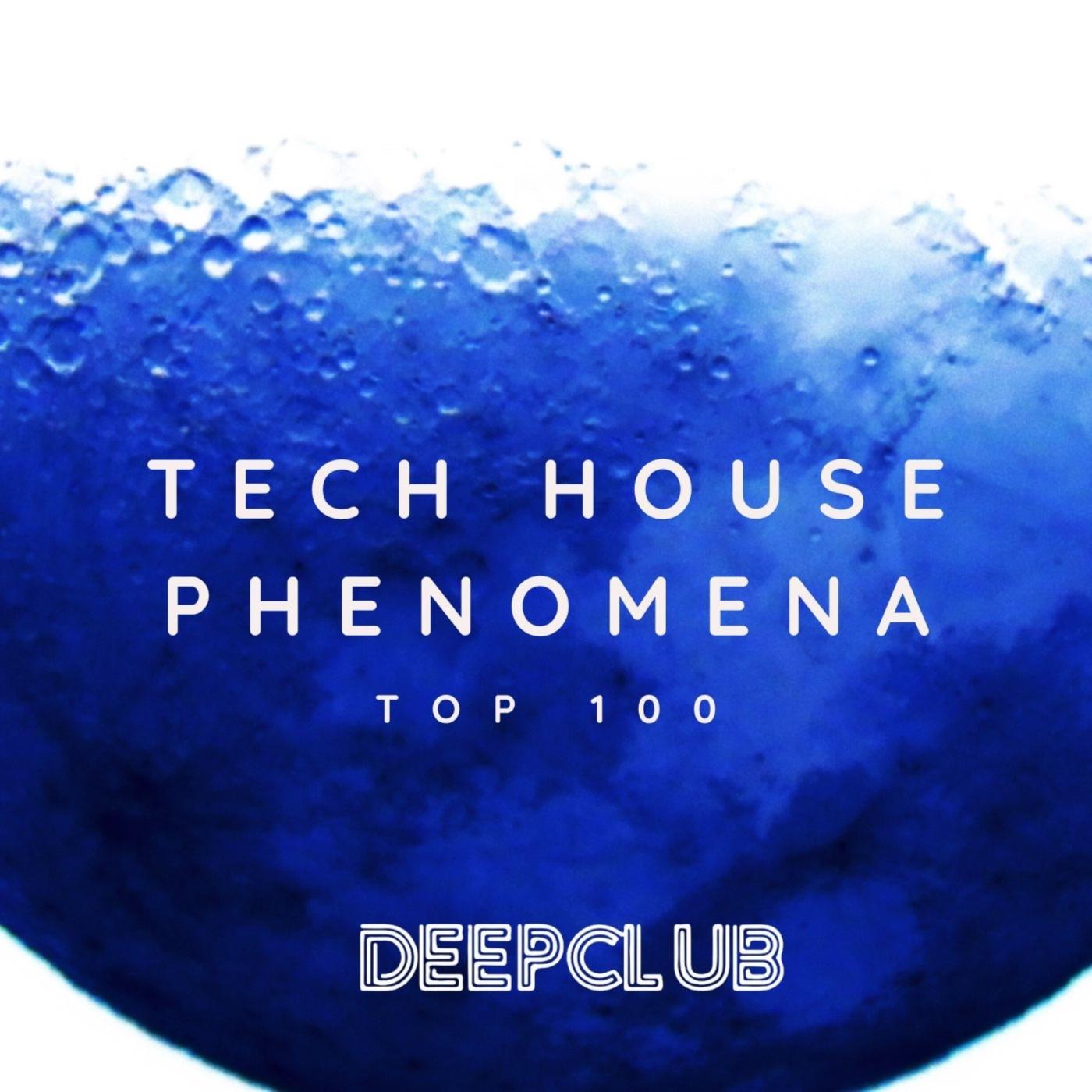 Top 100 Tech House Phenomena - Various Artists - 专辑 - 网易云音乐