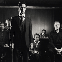 Nick Cave & the Bad Seeds