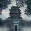 梨花飘落在你窗前专辑