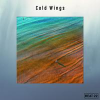 Cold Wings Beat 22