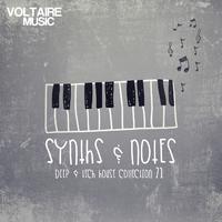 Synths and Notes 21