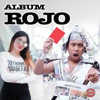 Album Rojo