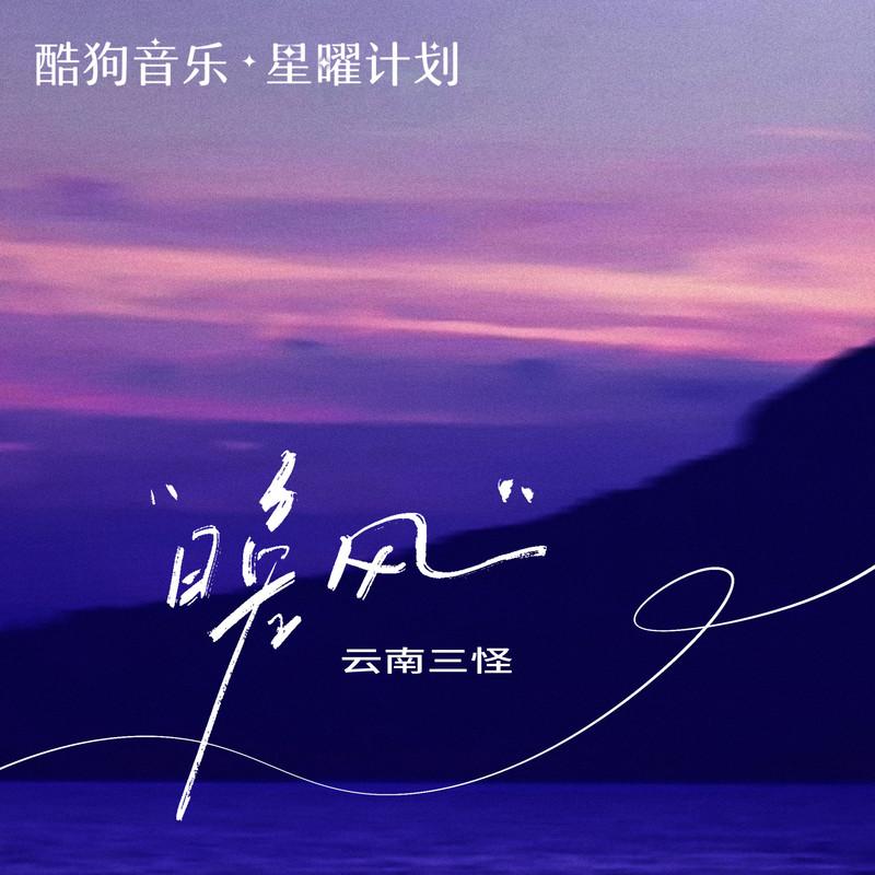 晚风(DJ版)封面