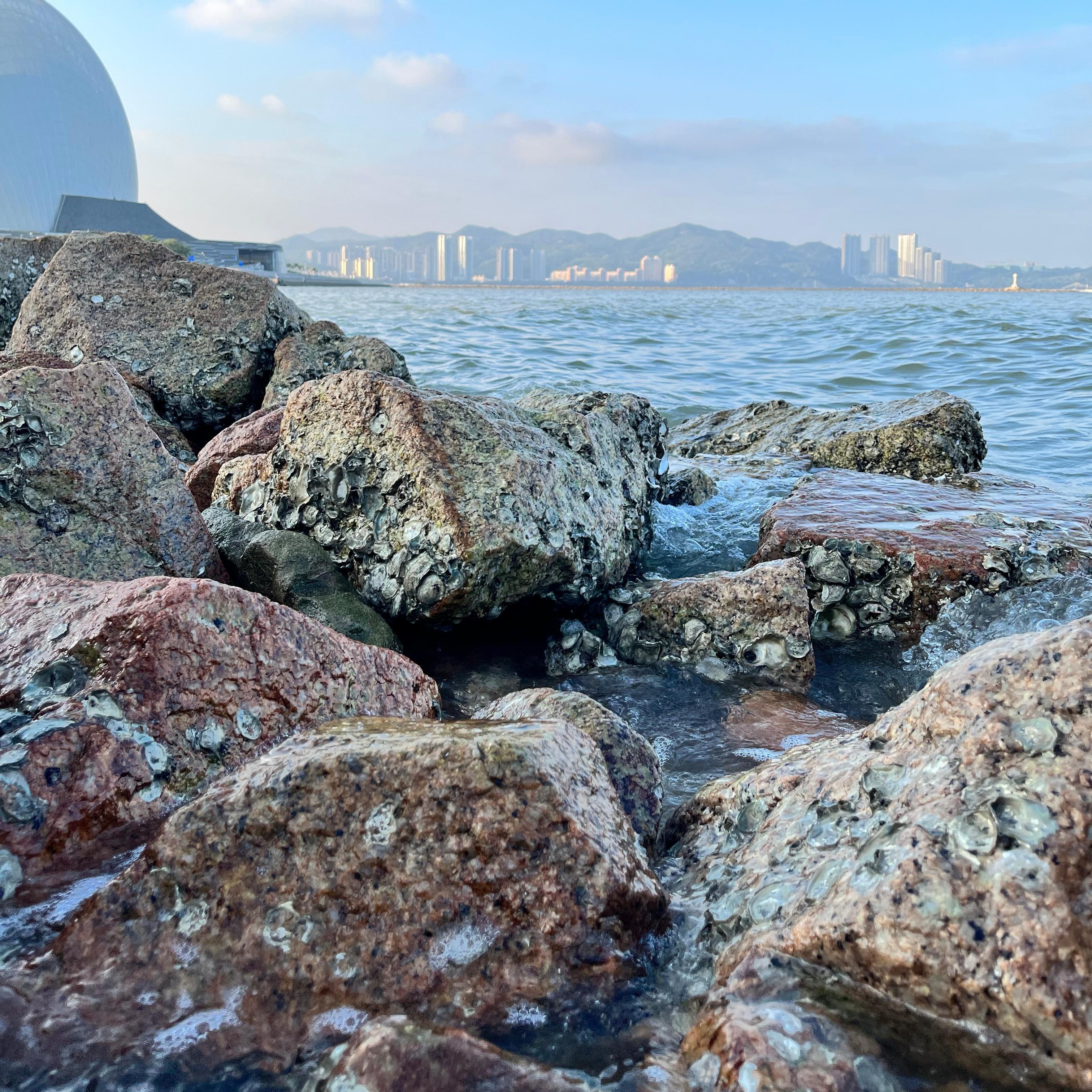 悲伤的情绪随时钟转动封面
