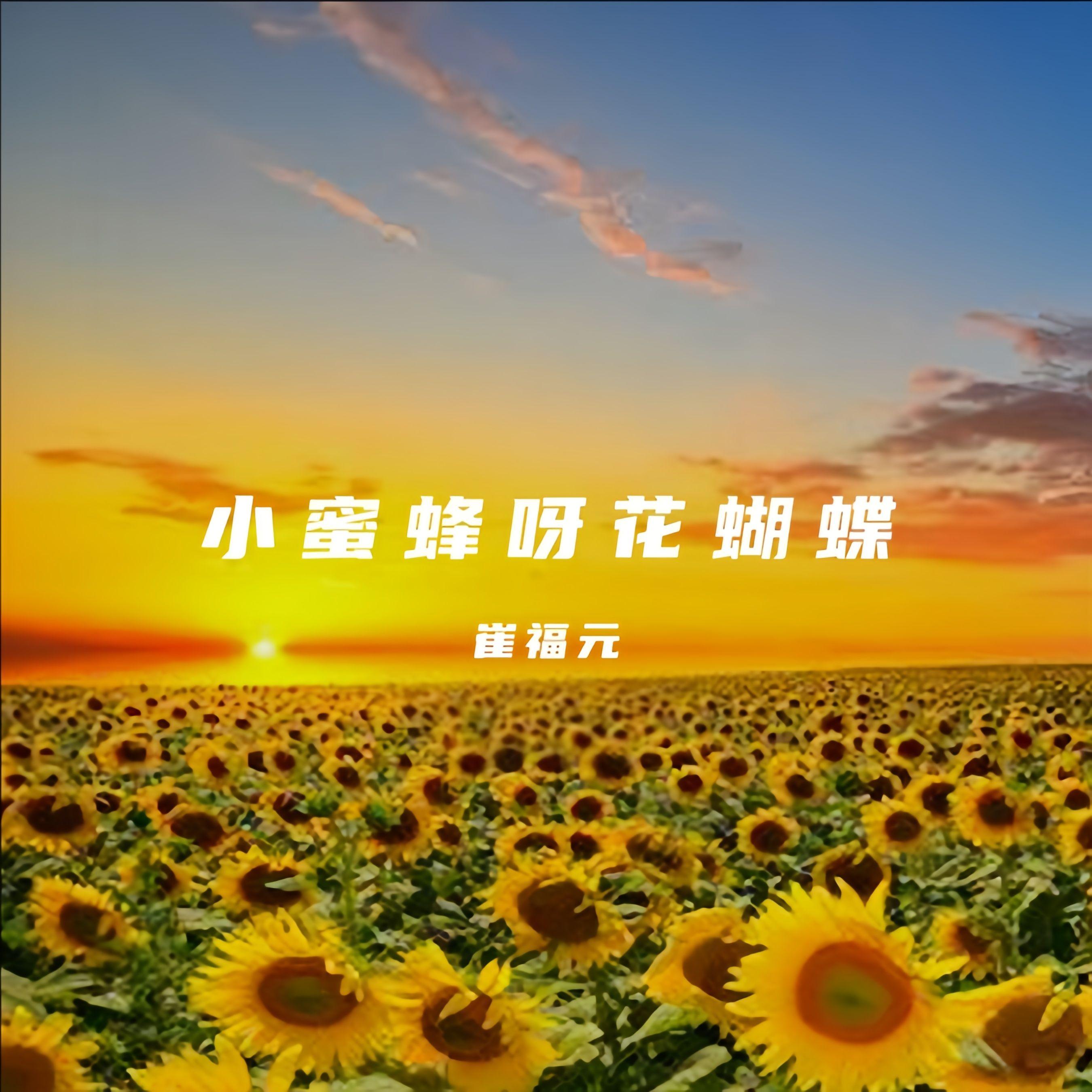 小蜜蜂呀花蝴蝶（DJ版）封面