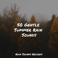 50 Gentle Summer Rain Sounds