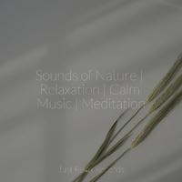 Sounds of Nature | Relaxation | Calm Music | Meditation