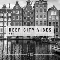 Deep City Vibes, Vol. 55