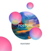 Posture