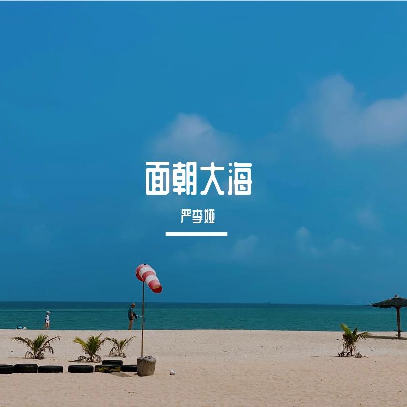 面朝大海 伴奏封面