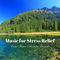 Music for Stress Relief: Calm Waters' Meditative Ensemble